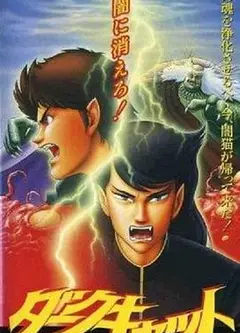 暗黑之猫