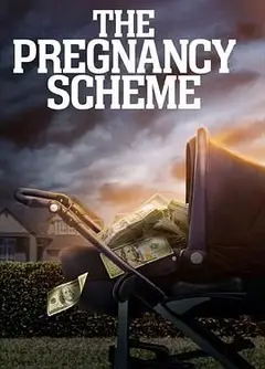 The Pregnancy Scheme