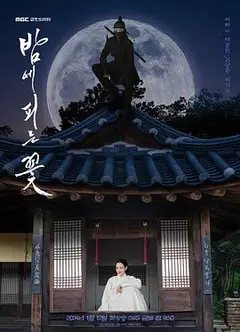 夜晚开的花