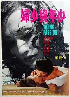 少年与少妇