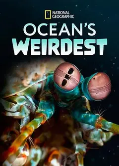 海洋异物志