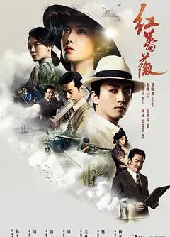 红蔷薇
