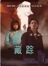 华严小镇之二藏踪