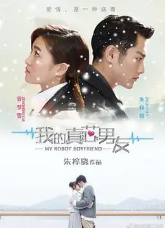 我的真芯男友