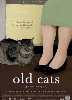 老猫