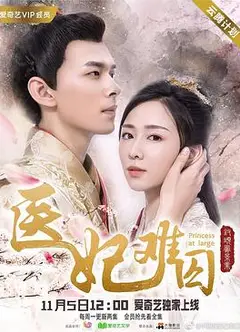 医妃难囚 第一季