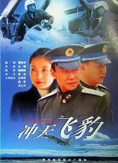 冲天飞豹
