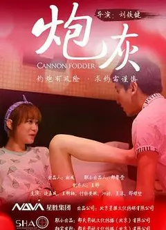 炮灰