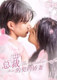 总裁的契约娇妻