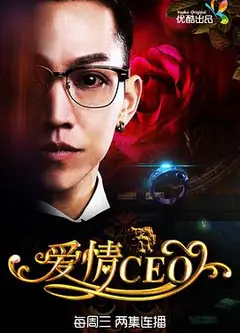 爱情CEO