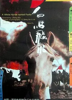 白马飞飞