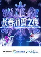 长春冰雪之夜