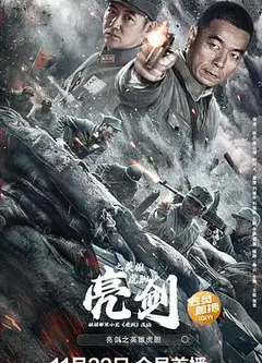 亮剑之英雄虎胆