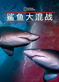 鲨鱼大混战
