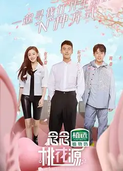 念念桃花源