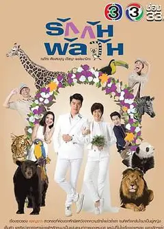 爱情混战TV版