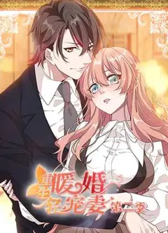 重生暖婚轻宠妻第二季动态漫