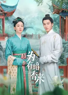 为有暗香来