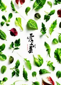 爱上川菜
