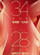 中国电视剧飞天奖暨星光奖 2024