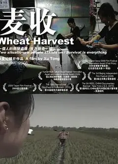 麦收