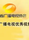 湖南省广播电视优秀视频（2013）