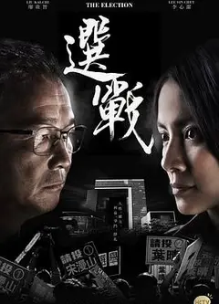 选战2014
