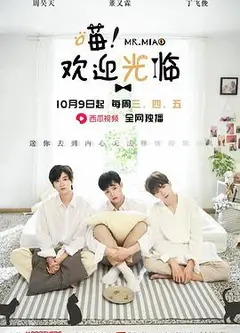 喵欢迎光临