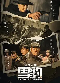雪豹之暗战天机