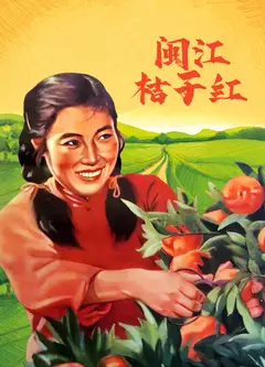 闽江桔子红