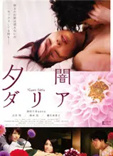 黄昏大丽花
