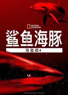 鲨鱼海豚浴血战