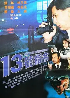 十三号指令