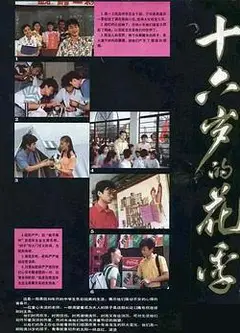 十六岁的花季
