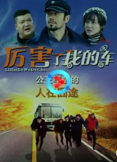 厉害了我的车
