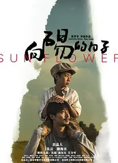 向阳的日子