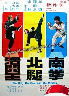 南拳北腿活阎王