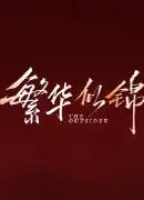 繁华似锦DVD版