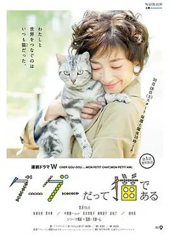 咕咕是一只猫