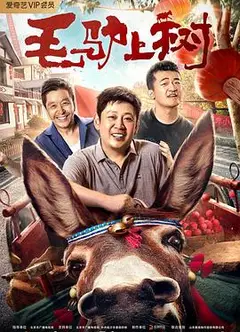 毛驴上树