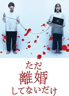 只是没离婚而已