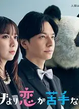 比熊猫更不擅长恋爱的我们