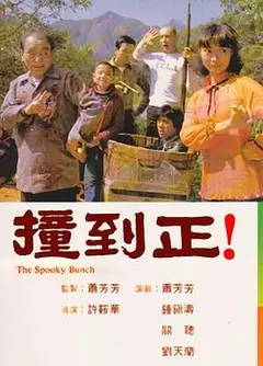 撞到正