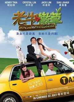 老牛与嫩草