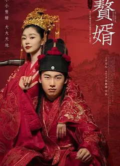 赘婿
