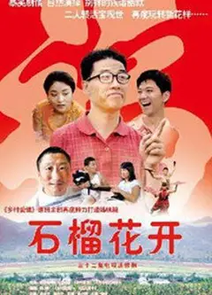 石榴花开