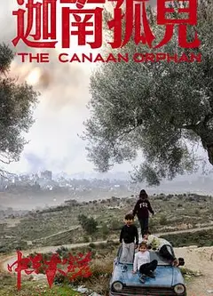 中东大宝荐2：迦南孤儿