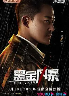 黑金风暴 粤语版