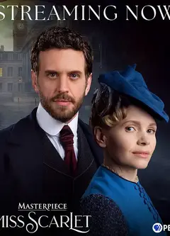 斯嘉丽小姐探案集 第六季