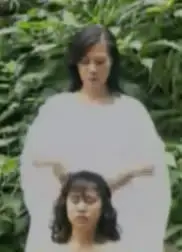 化骨棉掌